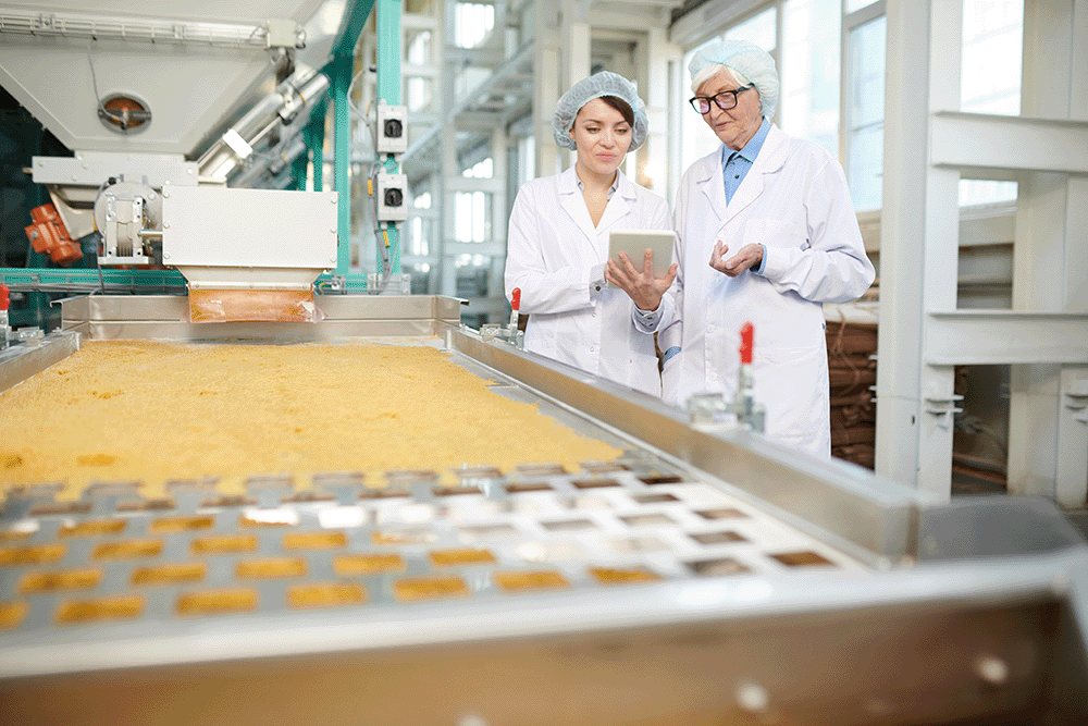 Professionele reiniging van productie- en verwerkingsruimtes in de voedingsindustrie